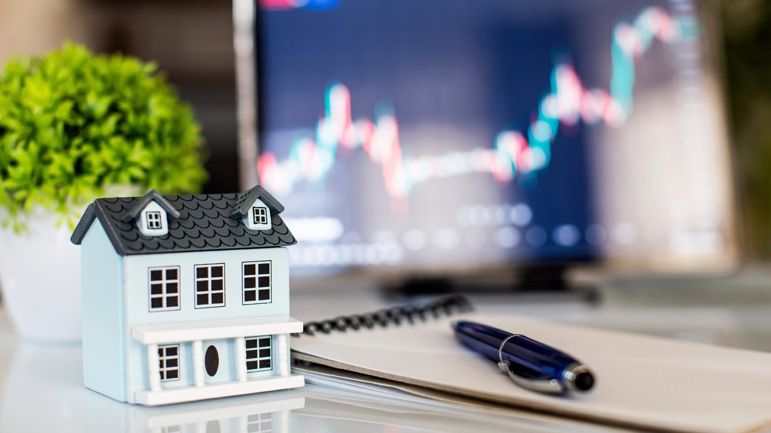 Shutterstock / Zakharchuk