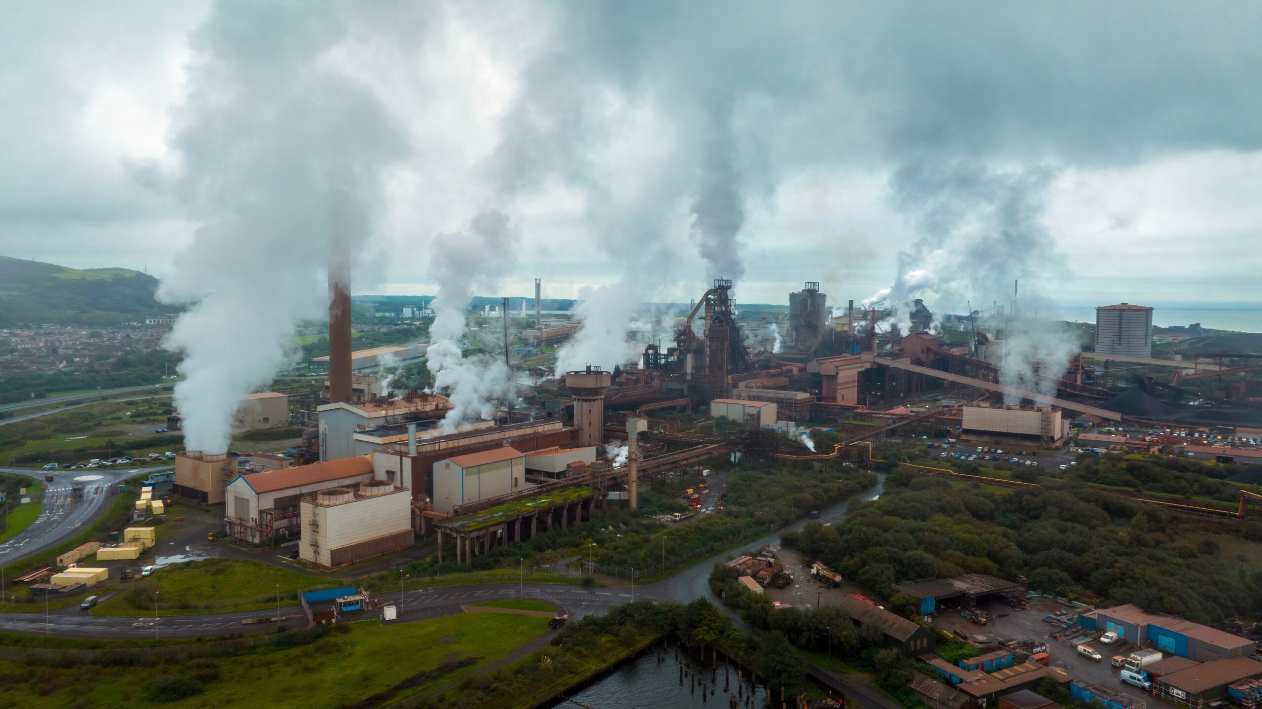 Beeld: shutterstock, Leighton Collins